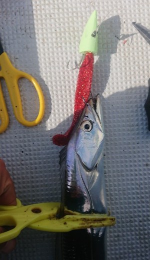 hideup 久次米良信 ブログ写真 2018/11/05