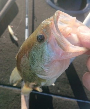 hideup 久次米良信 ブログ写真 2018/11/06