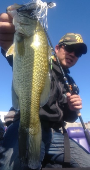 hideup 久次米良信 ブログ写真 2018/11/06