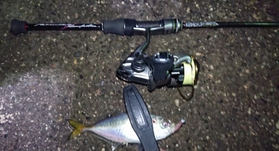 hideup 久次米良信 ブログ写真 2018/11/08