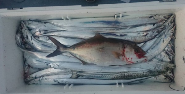 hideup 久次米良信 ブログ写真 2018/11/12