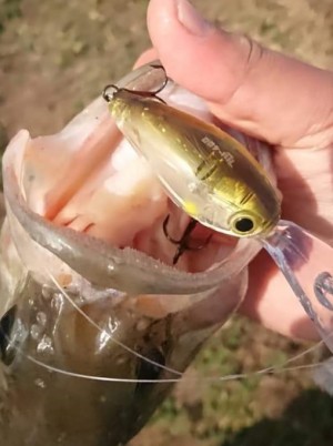 hideup 久次米良信 ブログ写真 2018/11/13