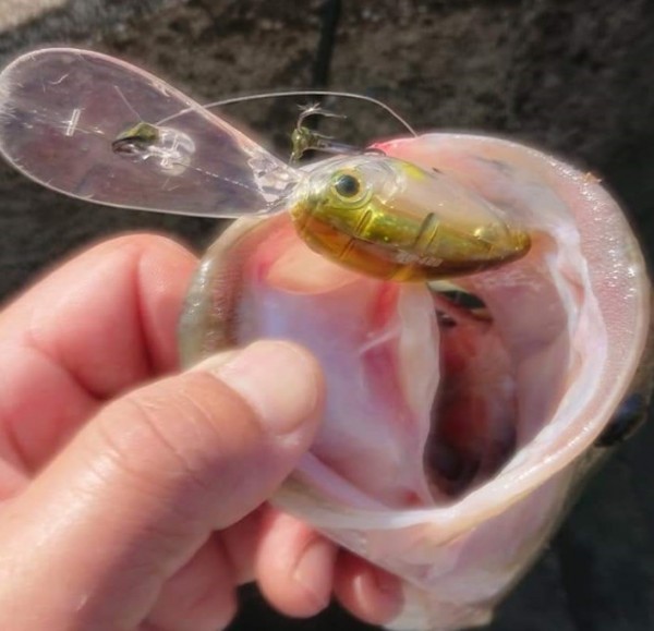 hideup 久次米良信 ブログ写真 2018/11/13