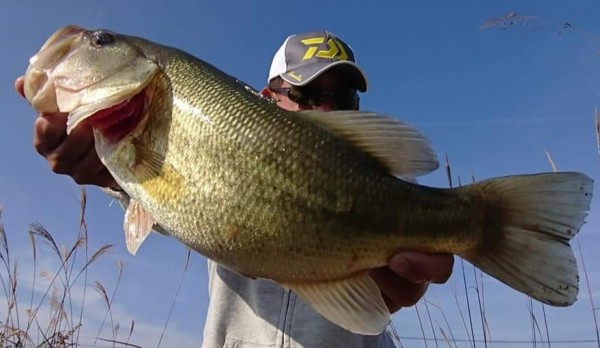 hideup 久次米良信 ブログ写真 2018/11/13