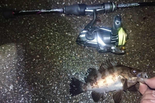 hideup 久次米良信 ブログ写真 2018/11/15