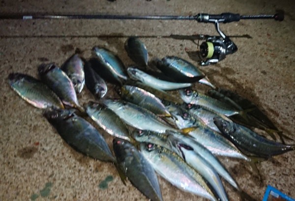 hideup 久次米良信 ブログ写真 2018/11/16