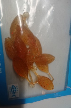 hideup 久次米良信 ブログ写真 2018/11/16