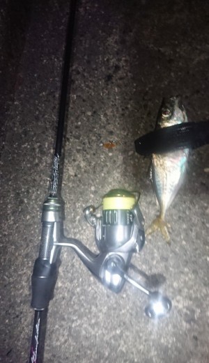 hideup 久次米良信 ブログ写真 2018/11/16