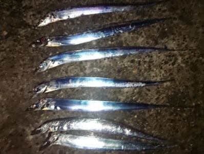 hideup 久次米良信 ブログ写真 2018/11/17