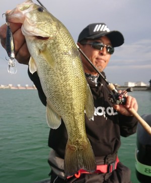 hideup 久次米良信 ブログ写真 2018/11/19