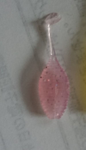 hideup 久次米良信 ブログ写真 2018/11/20