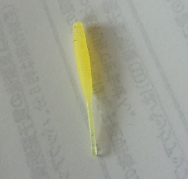 hideup 久次米良信 ブログ写真 2018/11/20