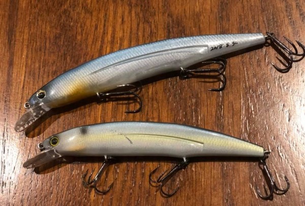 hideup 久次米良信 ブログ写真 2018/11/21