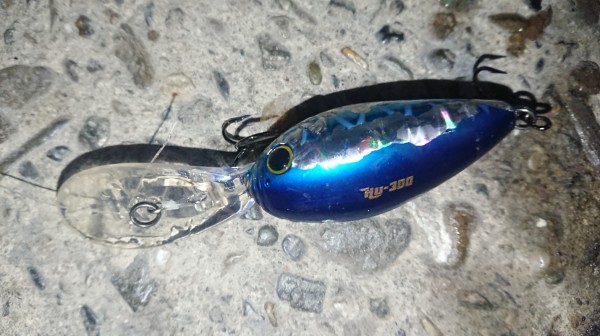 hideup 久次米良信 ブログ写真 2018/11/22