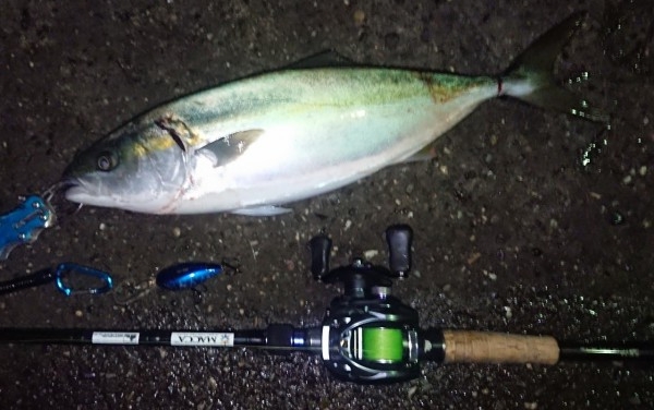 hideup 久次米良信 ブログ写真 2018/11/22