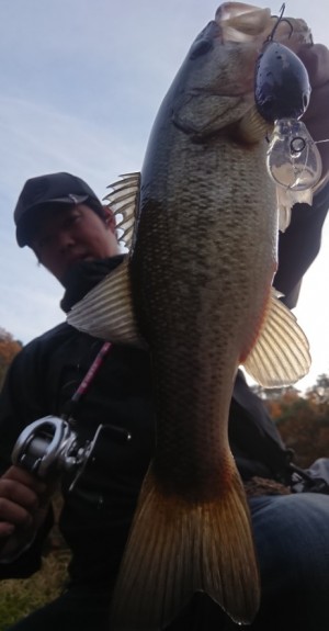 hideup 久次米良信 ブログ写真 2018/12/03