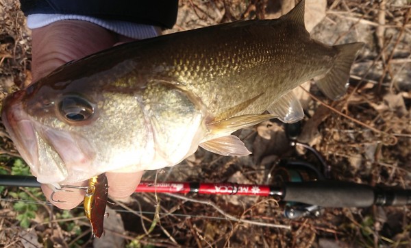 hideup 久次米良信 ブログ写真 2018/12/03