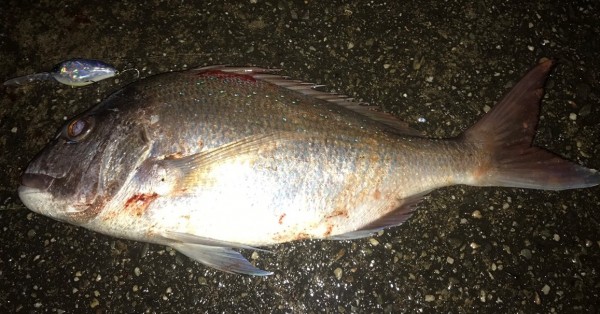 hideup 久次米良信 ブログ写真 2018/12/03