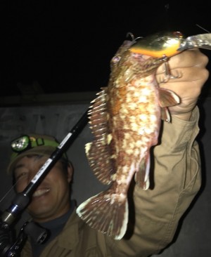 hideup 久次米良信 ブログ写真 2018/12/06