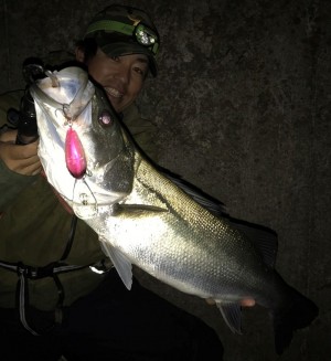 hideup 久次米良信 ブログ写真 2018/12/06