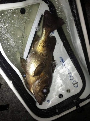 hideup 久次米良信 ブログ写真 2018/12/12