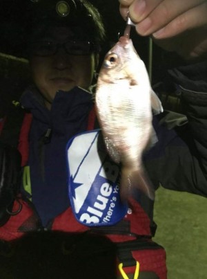 hideup 久次米良信 ブログ写真 2018/12/12