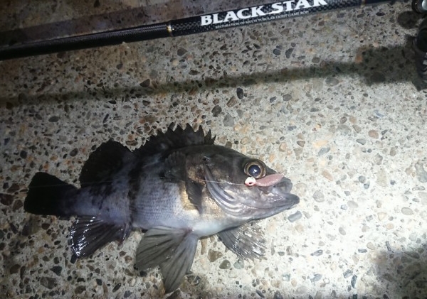 hideup 久次米良信 ブログ写真 2018/12/19