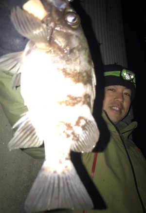 hideup 久次米良信 ブログ写真 2018/12/22