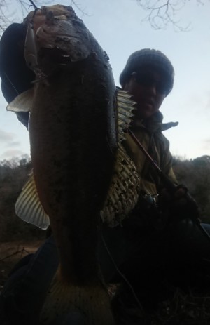 hideup 久次米良信 ブログ写真 2019/01/02