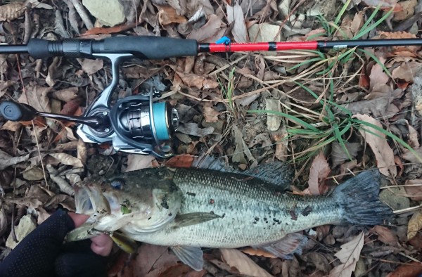 hideup 久次米良信 ブログ写真 2019/01/02