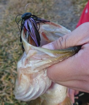 hideup 久次米良信 ブログ写真 2019/01/05