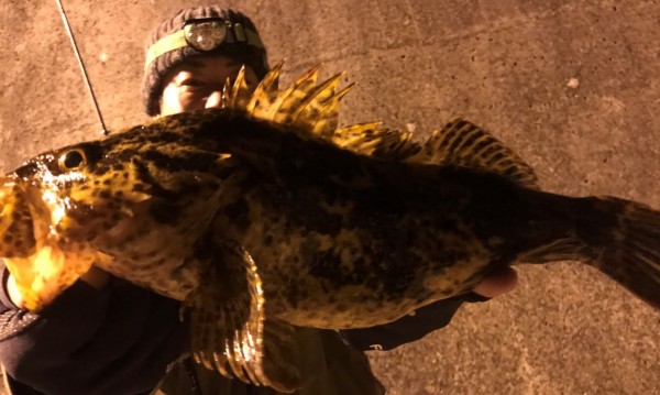 hideup 久次米良信 ブログ写真 2019/01/07