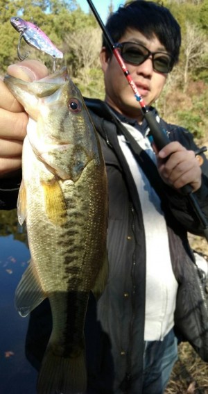 hideup 久次米良信 ブログ写真 2019/01/08