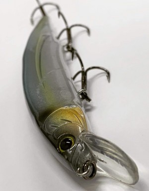 hideup 久次米良信 ブログ写真 2019/01/10