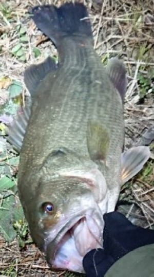 hideup 久次米良信 ブログ写真 2019/01/11