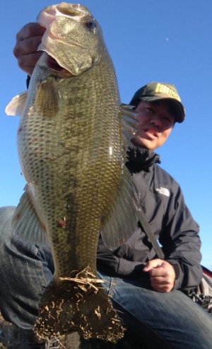 hideup 久次米良信 ブログ写真 2019/01/15