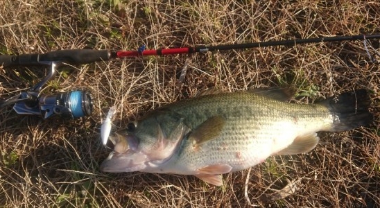 hideup 久次米良信 ブログ写真 2019/01/15