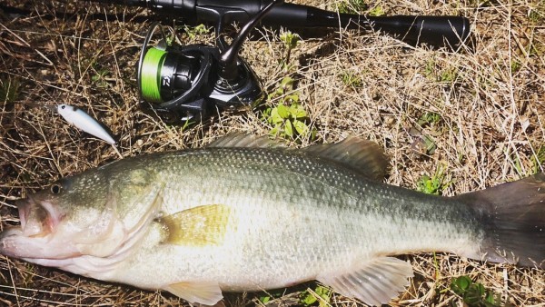 hideup 久次米良信 ブログ写真 2019/01/17