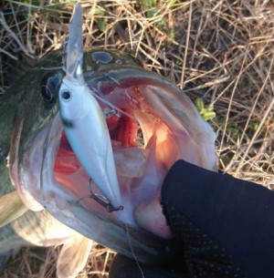 hideup 久次米良信 ブログ写真 2019/01/23