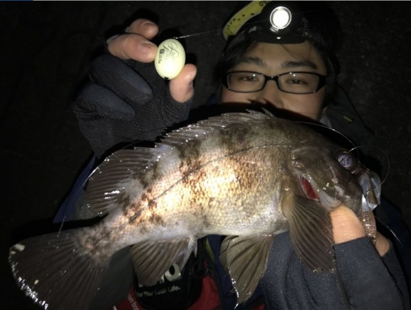 hideup 久次米良信 ブログ写真 2019/02/12