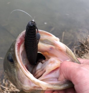 hideup 久次米良信 ブログ写真 2019/02/12