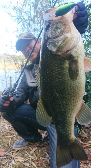 hideup 久次米良信 ブログ写真 2019/02/15