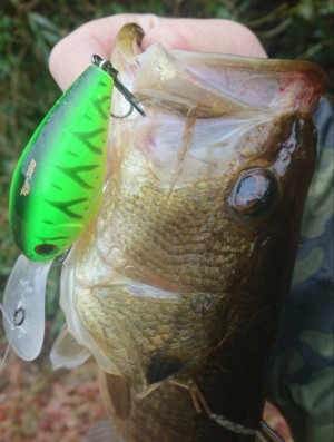 hideup 久次米良信 ブログ写真 2019/02/15