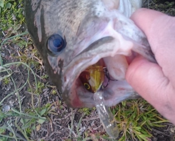 hideup 久次米良信 ブログ写真 2019/02/15