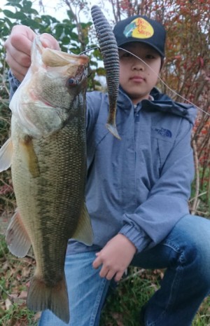 hideup 久次米良信 ブログ写真 2019/03/01