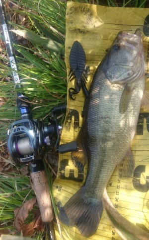 hideup 久次米良信 ブログ写真 2019/03/02