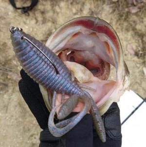 hideup 久次米良信 ブログ写真 2019/03/05