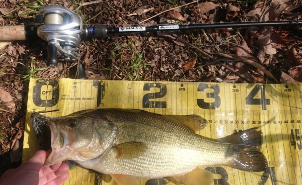 hideup 久次米良信 ブログ写真 2019/03/06