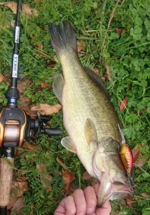 hideup 久次米良信 ブログ写真 2019/03/07