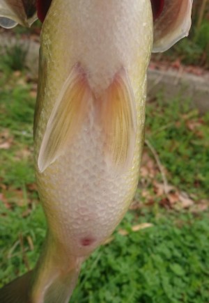 hideup 久次米良信 ブログ写真 2019/03/07